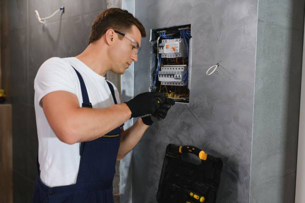 Best Home Electrical Repair  in Elk River, MN