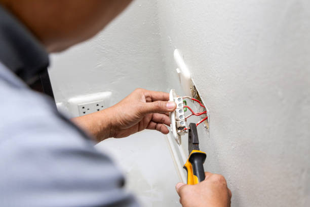 Best Electrical Wiring Services  in Elk River, MN